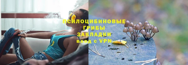 spice Дмитровск